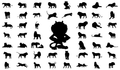 Lions standing and walking in different positions silhouette set vector. Carnivore animals like big cats and lions silhouette on a white background. Wild Lioness full body silhouette collection.