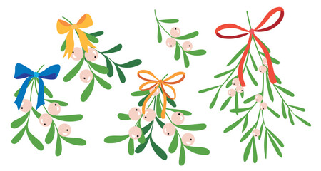 Mistletoe branches with bow and ribbons.  Mistletoe or Viscum Branches with Oblong Leaves and Berries Tied in Ribbons Vector Set