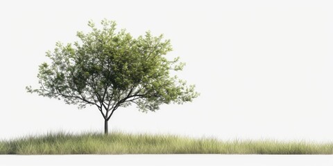 Fototapeta premium A single tree stands alone in the middle of a beautiful grassy field. Perfect for nature and landscape themes