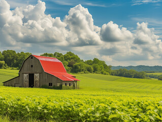 A vibrant agricultural field flourishes with lush greens, stretching as far as the eye can see. A quaint barn with a stylish red roof adds charm to this picturesque scene. - obrazy, fototapety, plakaty