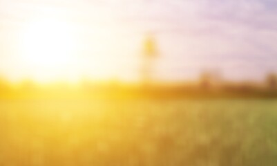 abstract blur colored background, Summer field
