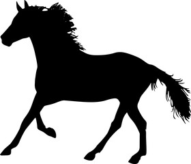Horse Silhouette Vector Illustration. Wild Horse racing PNG on transparent background