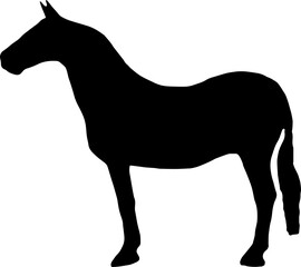 Horse Silhouette Vector Illustration. Wild Horse racing PNG on transparent background