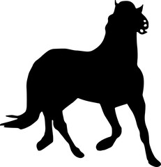 Horse Silhouette Vector Illustration. Wild Horse racing PNG on transparent background
