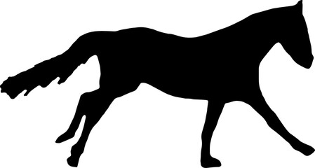 Horse Silhouette Vector Illustration. Wild Horse racing PNG on transparent background