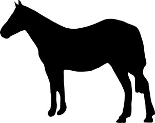 Horse Silhouette Vector Illustration. Wild Horse racing PNG on transparent background