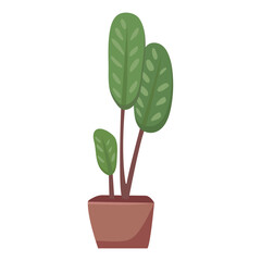 House plants in pots. Element for design house, room or office. Isolated element on white background. Vector illustration