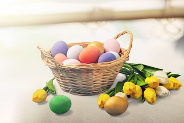 Colored easter eggs and fresh flowers