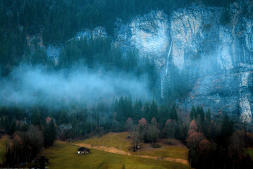 mist in the forest in Lauterbrunnen of Switzerland