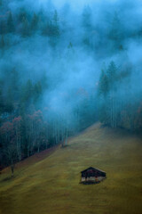mist in the forest in Lauterbrunnen of Switzerland