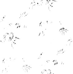 Rustic grunge vector texture with grain and stains. Abstract noise background. Weathered surface. Dirty and damaged. Detailed rough backdrop. Vector graphic illustration with transparent white. EPS10.