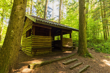 Schutzhütte am Wanderweg im Wald - 734130555