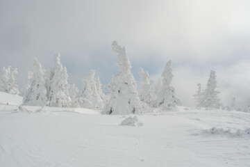 美しい冬の風景
