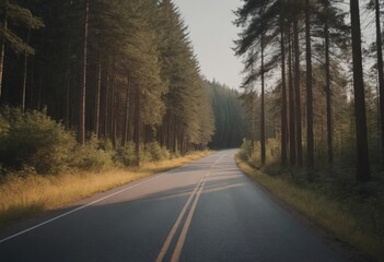Fototapeta premium Beautiful tree lined road in the Tunnel of Trees on a drive through Emmet County from Harbor Springs