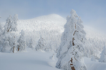 美しい冬の風景
