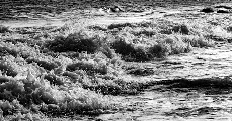 Breaking waves panorama in contrasting black and white. Surf at “Grand Anse des Salines“ – a...