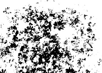 Obraz premium Rustic grunge texture with grain and stains. Abstract noise background. PNG graphic illustration with transparent background.