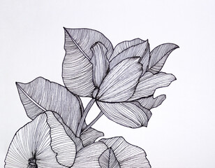 Floral and foliage drawing composition in black ink