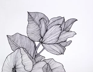 Stickers pour porte Surréalisme Floral and foliage drawing composition in black ink