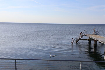 Pier with swimming people and a swan in Malmö, Sweden