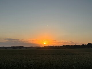 sunset over the field