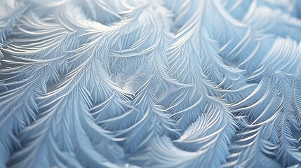 This image captures the complex patterns of ice crystals formed naturally, showcasing the beauty of winter's frosty art