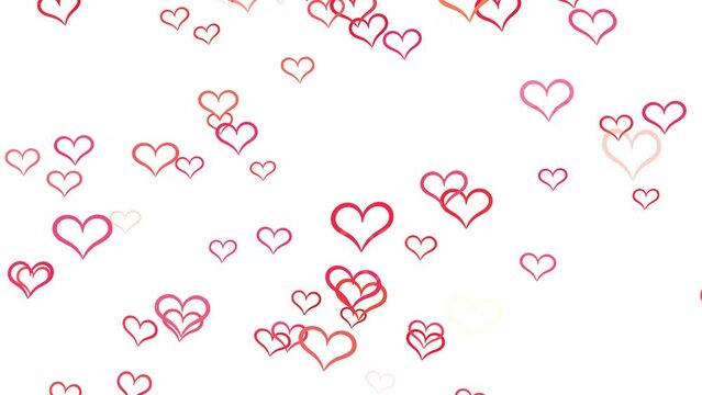 Red hearts float smoothly on a white background, video background for Valentine's Day