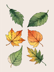 Fototapeta premium Leaves vector watercolor leaves leaf vector