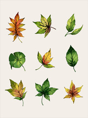 Fototapeta premium Leaves vector watercolor leaves leaf vector