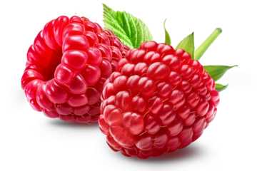 Two ripe raspberries with a leaf isolated on a white background.