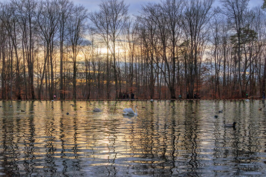 An evening at sunset at Stempflesee near Augsburg in February © were