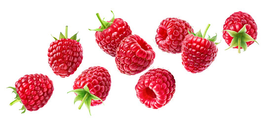 Set of flying ripe raspberries isolated on a white background.