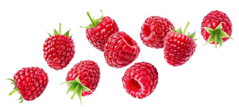Set of flying ripe raspberries isolated on a white background.