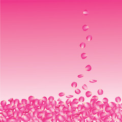 Petals, Pink rose flower, Valentines day background