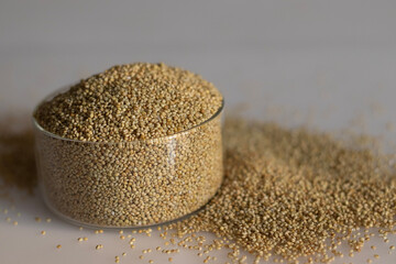 Closeup of browntop millet grains in a pristine glass bowl filled to the brim