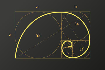 Abstract vector illustration of the proportion of the golden ratio, the pattern of the geometric ratio of figures, the method of the golden section, the Fibonacci numbers.