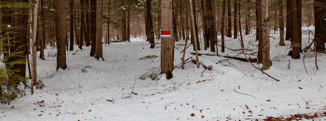 White-tailed deer tracks going in and out of private wooded land with posted no hunting or trespassing sign.