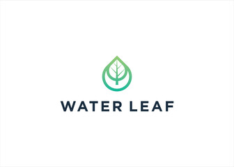 Natural Leaf Water Drop Logo Template Illustration Design