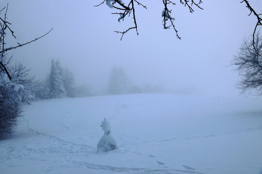 Eisiger dichter Nebel im Winter mit B&auml;umen und einem Schneemann
