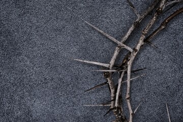 Crown of thorns on gray background, easter