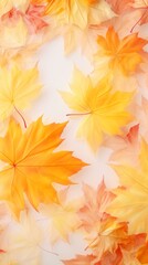 autumn maple leaves on bright textured background with copy space