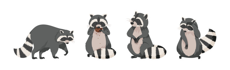 Funny Raccoon with Front Paws and Ringed Tail Vector Set © Happypictures