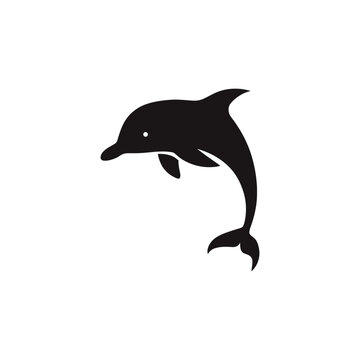 dolphin vector silhouette