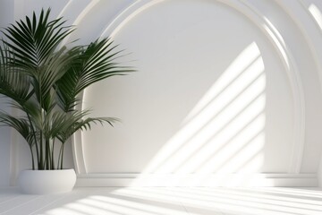 Abstract White Studio Background: Product Presentation in an Empty Room with Shadows of Window, Flowers, and Palm Leaves - 3D Space with Copy Space for Summer