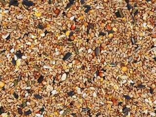 Birdseed in close up. Grains, kernels, seeds and nuts for birds. Sprinkle food in winter....