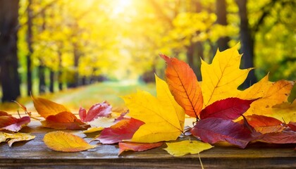 Naklejka na ściany i meble autumn leaves on a bright yellow background