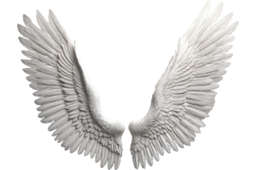 photorealistic angel wings on a transparent background