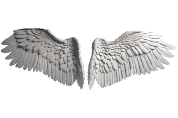 photorealistic angel wings on a transparent background