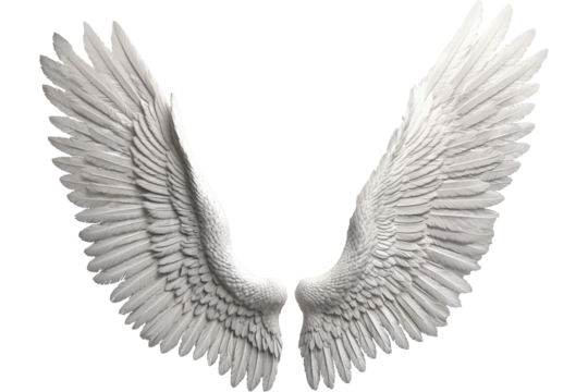 photorealistic angel wings on a transparent background