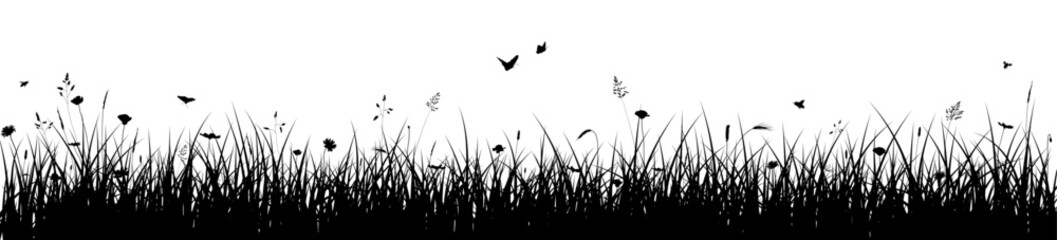Meadow silhouette banner. Grass, spring, summer, Easter border - 734201527
